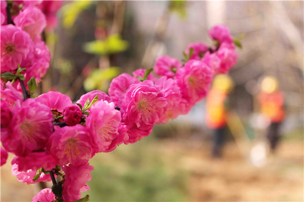 ��ҳ| ���˹��ʼ��Ź����Ӵ����¼