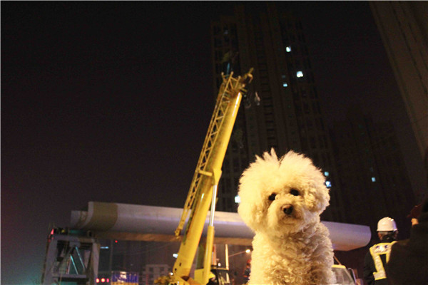 ��ҳ| ���˹��ʼ��Ź����Ӵ����¼