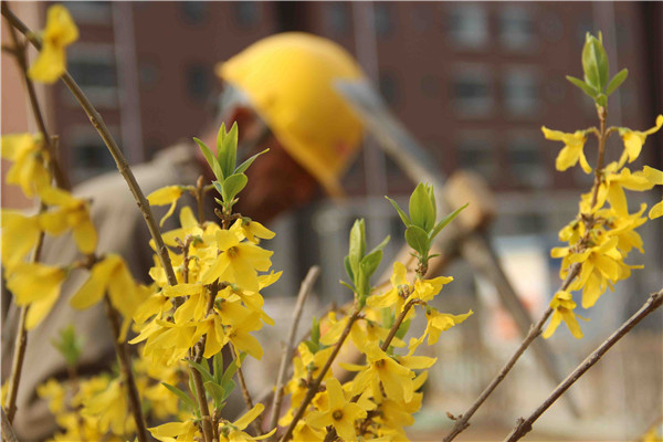 ��ҳ| ���˹��ʼ��Ź����Ӵ����¼